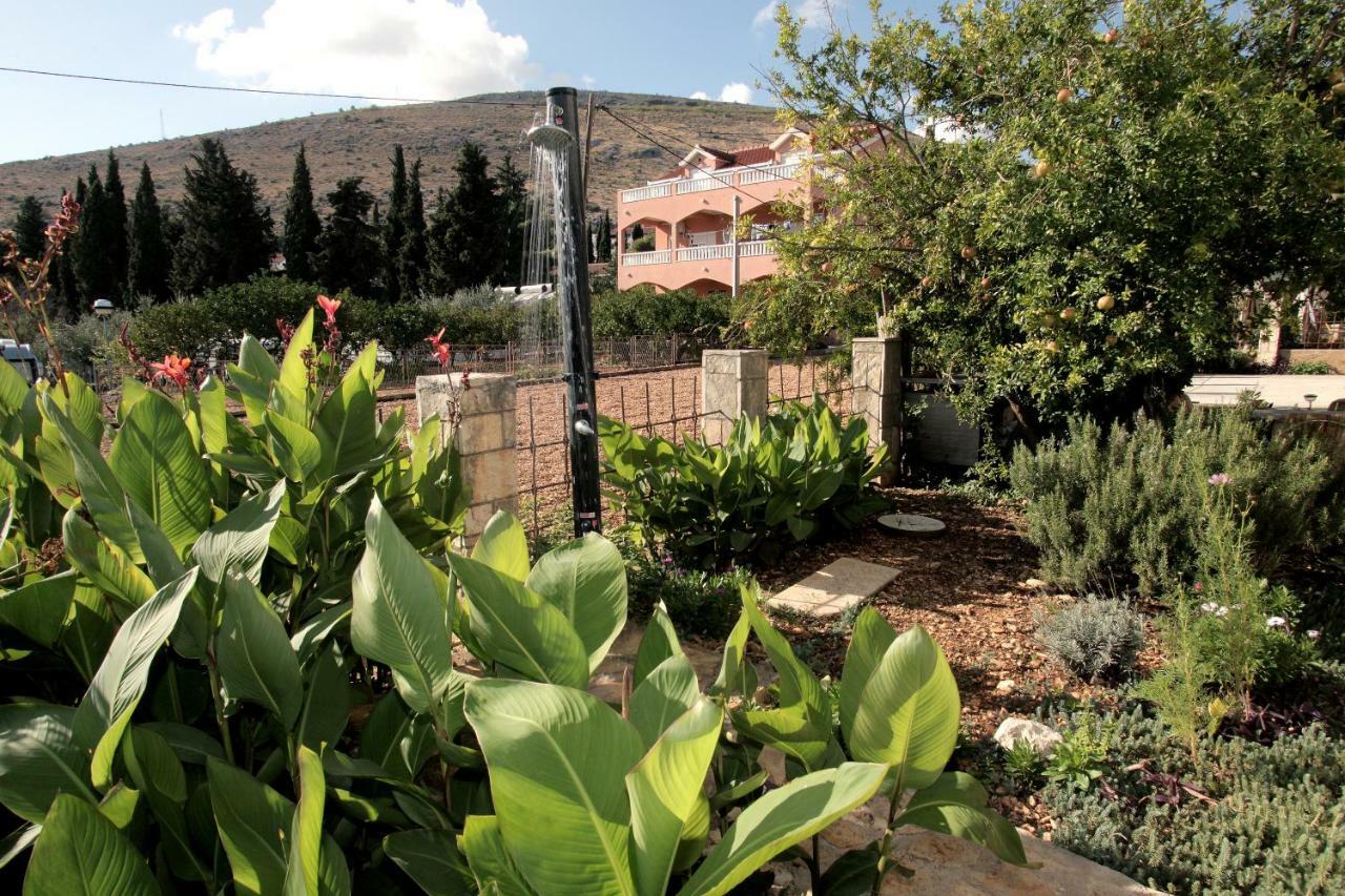 טרוגיר Vila Nataly מראה חיצוני תמונה